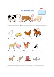 English Worksheet: ANIMALS TEST