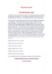English Worksheet: the camel in the U.A.E