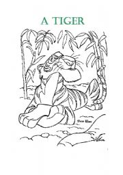 English worksheet: A Tiger