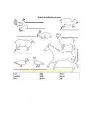 English worksheet: Farm animals