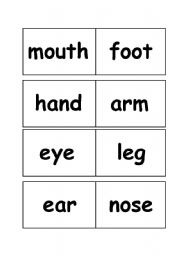 English worksheet: my body