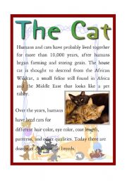 English Worksheet: The Cat