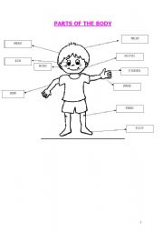 English Worksheet: game with colours and parts of the body