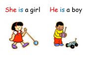 English Worksheet: she, he, it is, they are