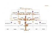 English Worksheet: Family tree