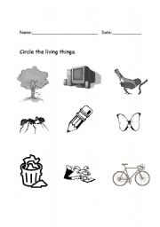 English Worksheet: Circle the living things