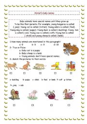 English Worksheet: Animals baby names