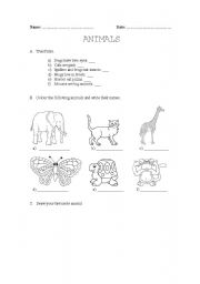 English worksheet: Animals