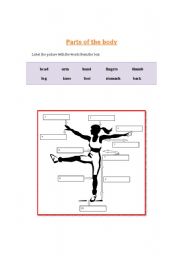 English Worksheet: parts of the body