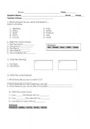 English Worksheet: FIVE SENSES TEST