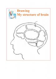 English worksheet: Drawing structire of brain