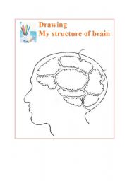 English Worksheet: Drawing structire of brain