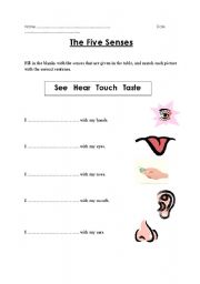 English Worksheet: The Five Senses