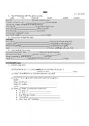 English worksheet: Iris