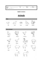 English Worksheet: Vocabulary: (Animals Part 1) Pets and Farm Animals