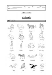 English Worksheet: Vocabulary: wild animals