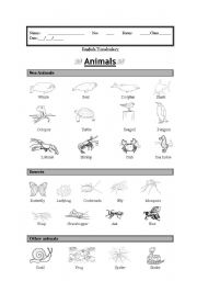 English Worksheet: Vocabulary: Animals (sea animals, insects, other)