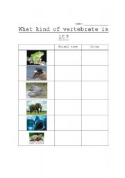 English Worksheet: What kind of vertebrate is it?