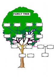 English Worksheet: Family Tree