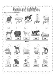 English Worksheet: Animals And Babies Pictionary (B&W)