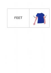 English Worksheet: Body