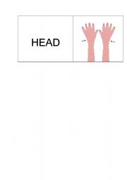 English Worksheet: body