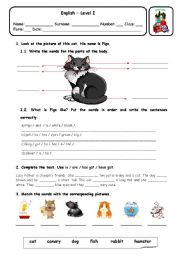 English Worksheet: PETS