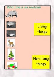 English worksheet: living and non living things