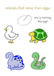English worksheet: animals that came from eggs