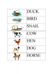 English worksheet: Animal Snap