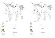 English worksheet: Horse vocabulary sheet