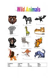 Wild Animals - ESL worksheet by MFátima