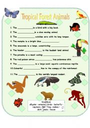 Tropical Forest Animals