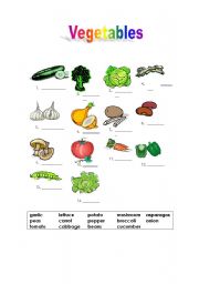 Vegetables