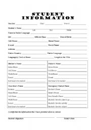 English Worksheet: Student Information Form