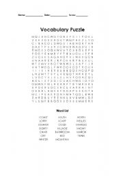 English Worksheet: vocabulary puzzle