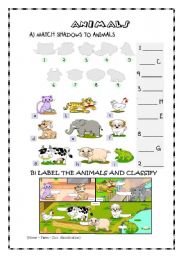 English Worksheet: Animals