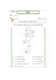 English Worksheet: describing body