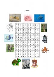 English worksheet: ANIMALS