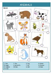 English Worksheet: Animals