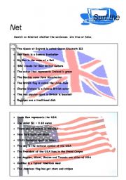 English Worksheet: surf the net