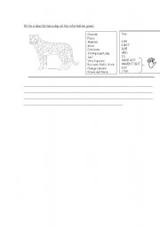 English worksheet: decribing animals