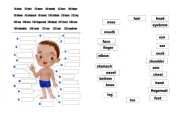 English Worksheet: body matching 