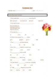 English Worksheet: Grammar test