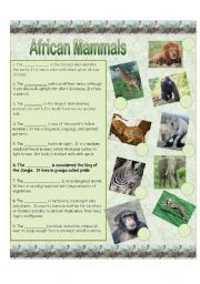 African Mammals