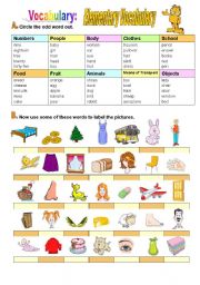 Elementary Vocabulary