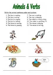 English worksheet: Animals and Verbs