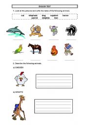 English Worksheet: english test animals