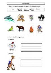 English worksheet: english test animals