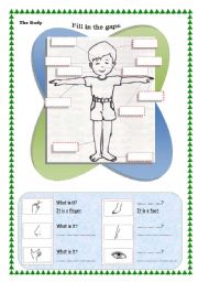 English Worksheet: The Body